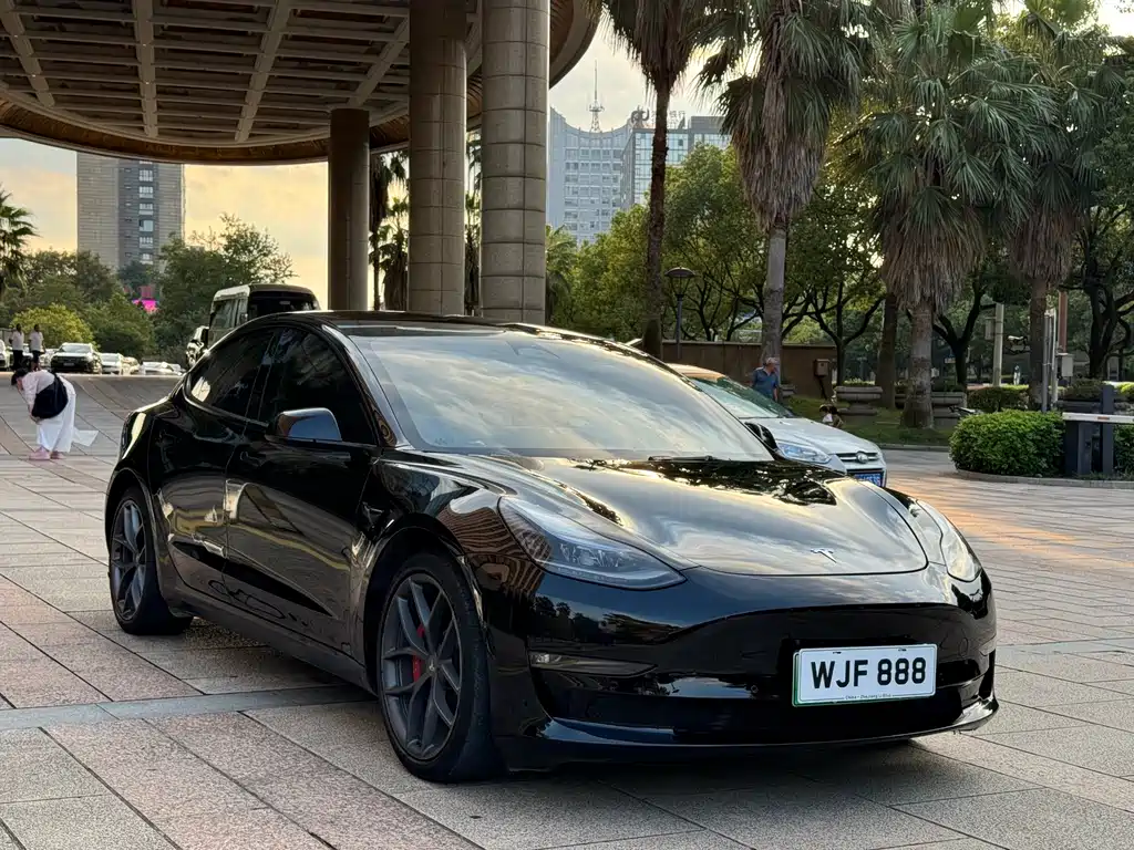 Tesla Model 3 — миниатюра 3
