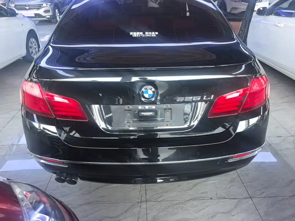 BMW 5 Series 5 2014 525Li Lead