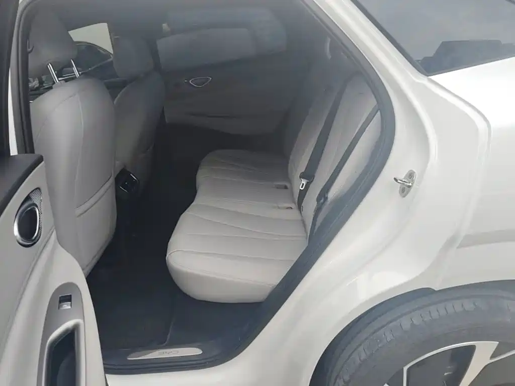 BYD Sealion 06 — миниатюра 17