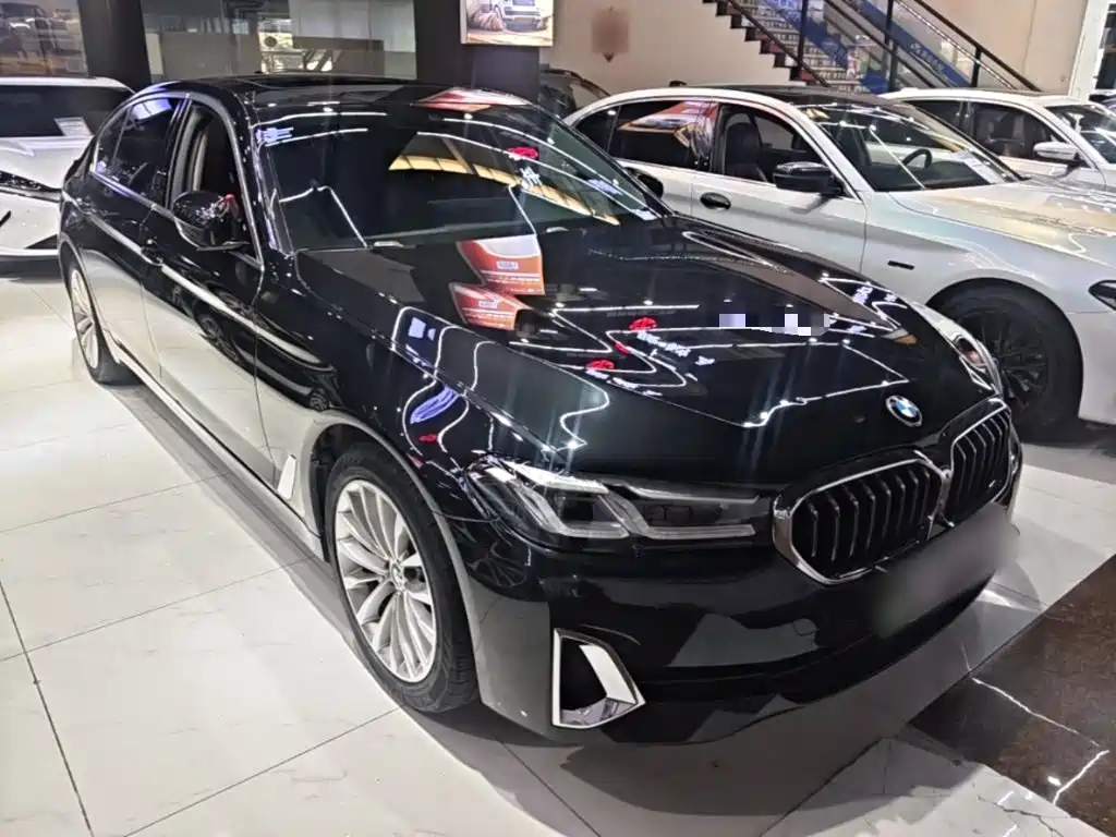 BMW 5 Series New Energy — миниатюра 4