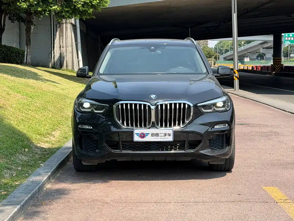 BMW X5 (Import) — миниатюра 2