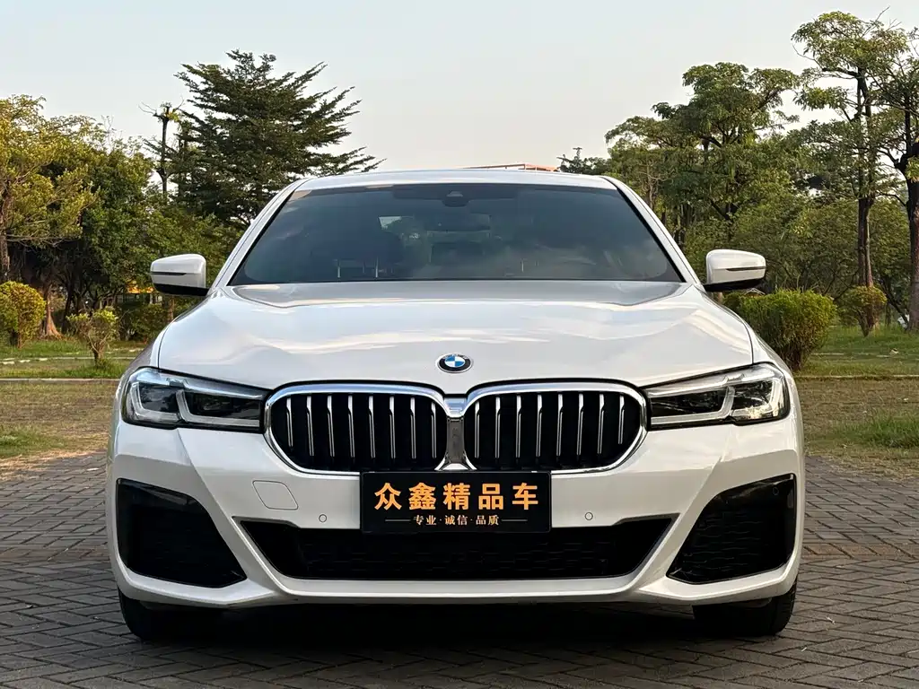 BMW 5 Series — миниатюра 2