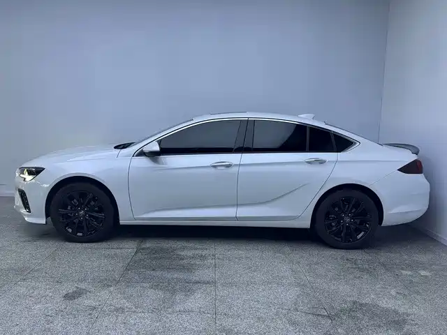Buick Regal — миниатюра 10