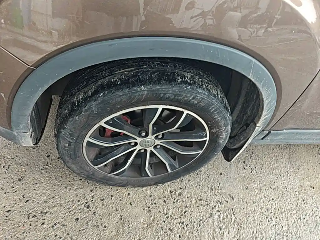 FAW Senya R7 — миниатюра 23
