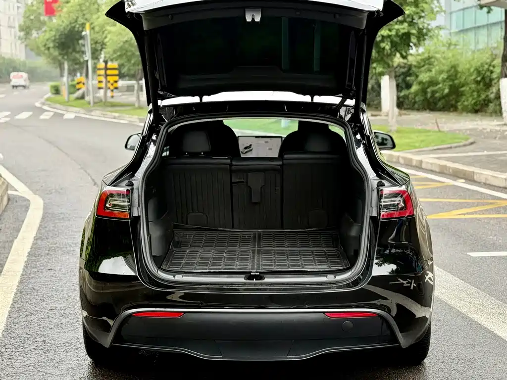 Tesla Model Y — миниатюра 7