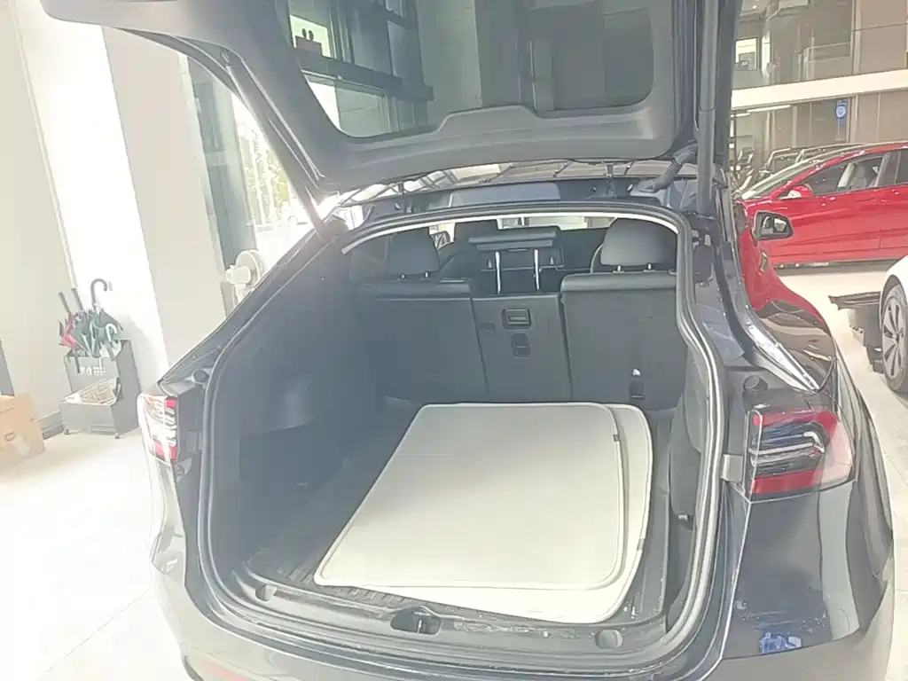Tesla Model Y — миниатюра 19