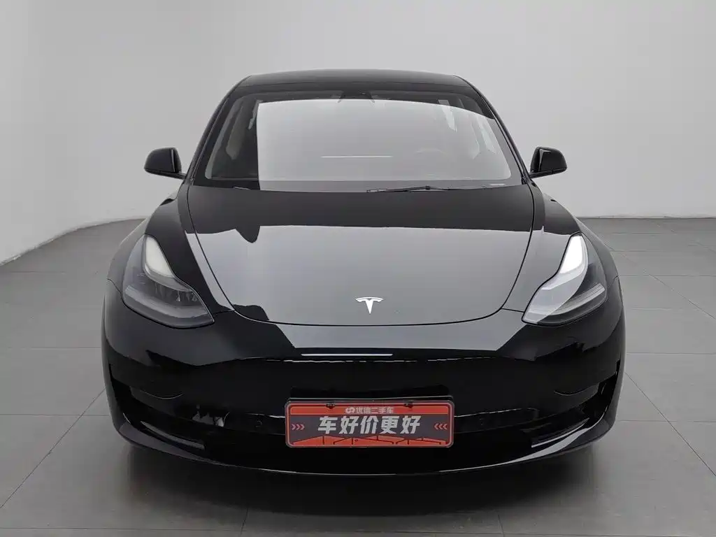 Tesla Model 3 — миниатюра 3