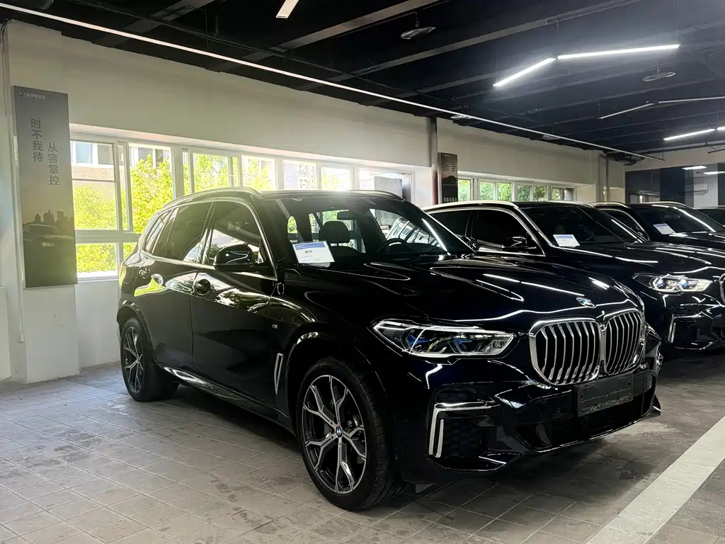BMW X5 Facelift xDrive 30Li Premium Type M Sport Package, фото 3