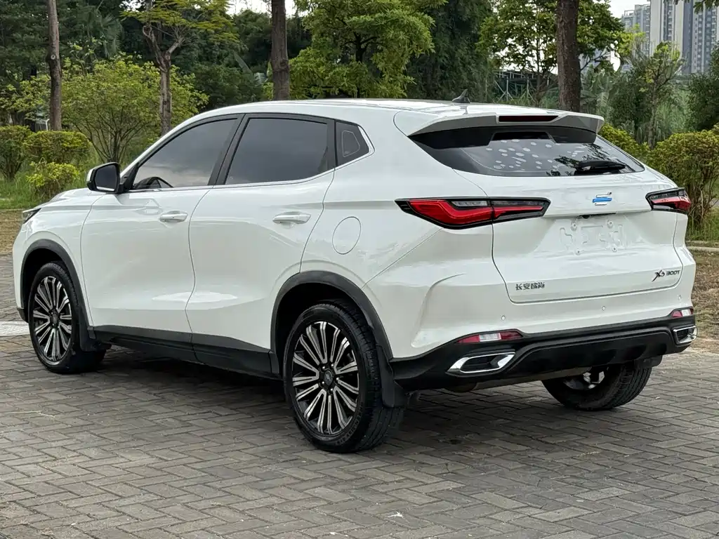 Oshan Oushang X5 — миниатюра 12