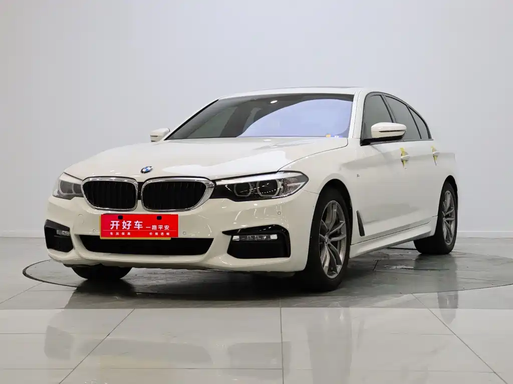BMW 5 Series (Import) 2018