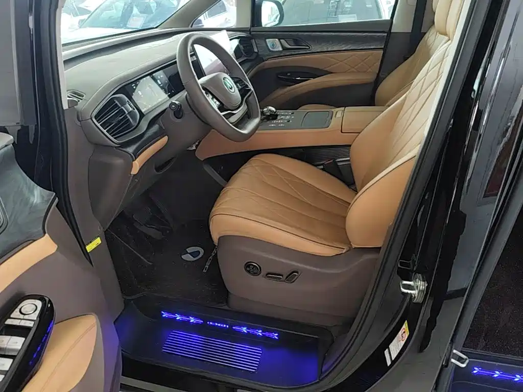 Denza Denza D9 — миниатюра 15