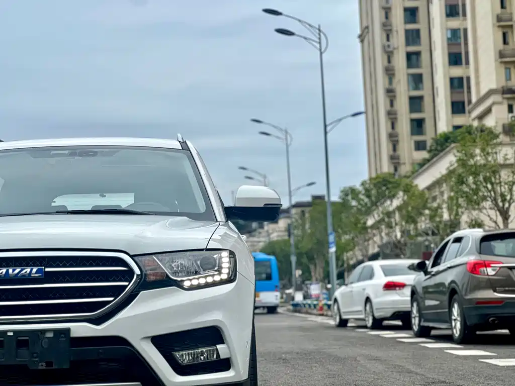 Haval H6 Coupe Blue Label 2.0T Auto 2WD Premium Type, фото 14