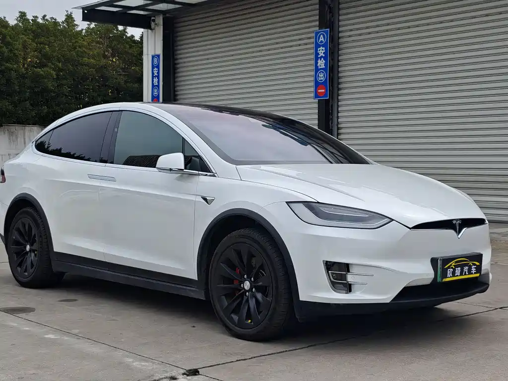 Tesla Model X — миниатюра 3