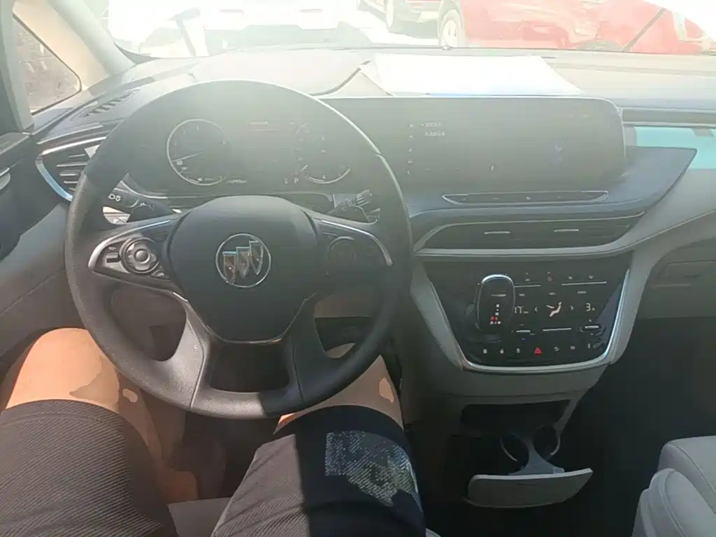 Buick GL8 — миниатюра 10