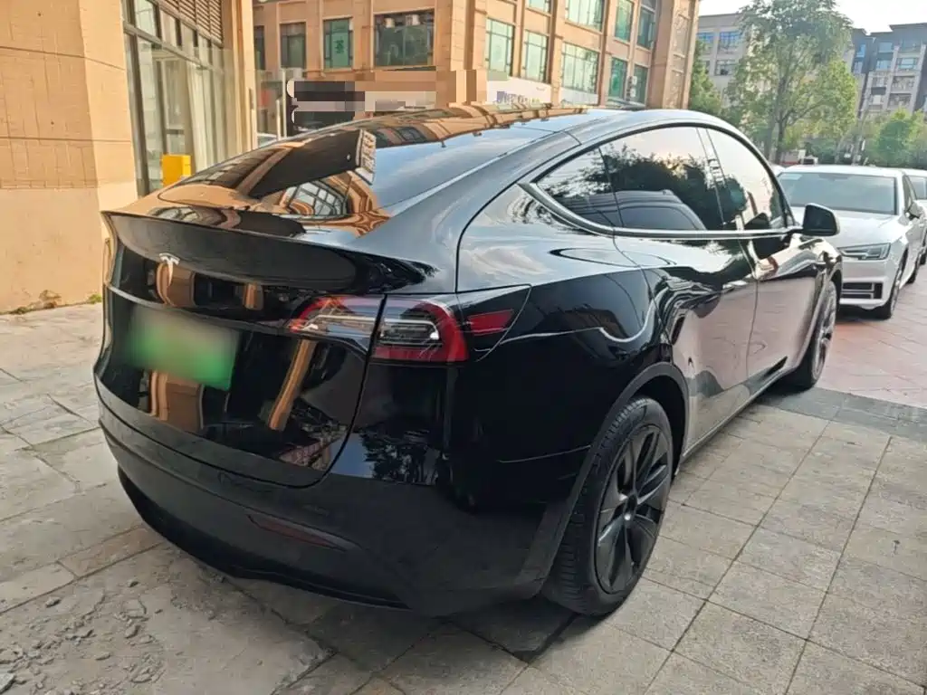 Tesla Model Y — миниатюра 7