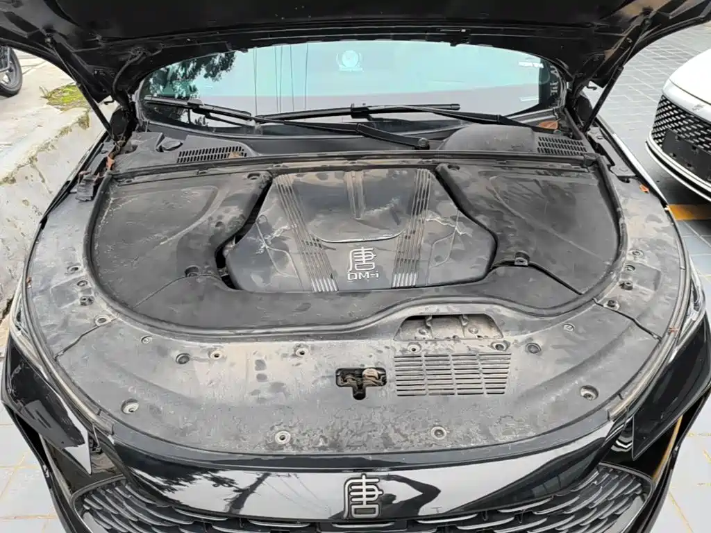 BYD Tang New Energy — миниатюра 20