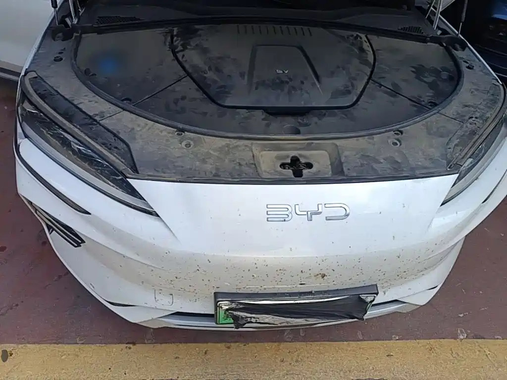 BYD PLUS New Energy — миниатюра 20