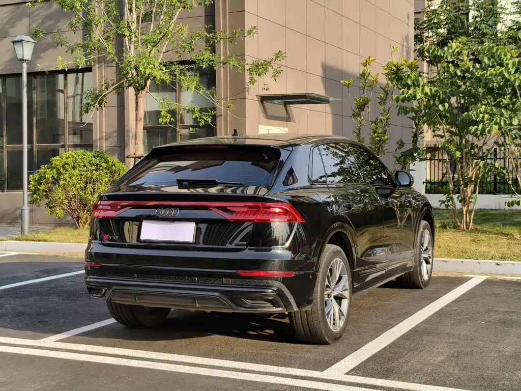 Audi Q8 2022 55 TFSI Luxury