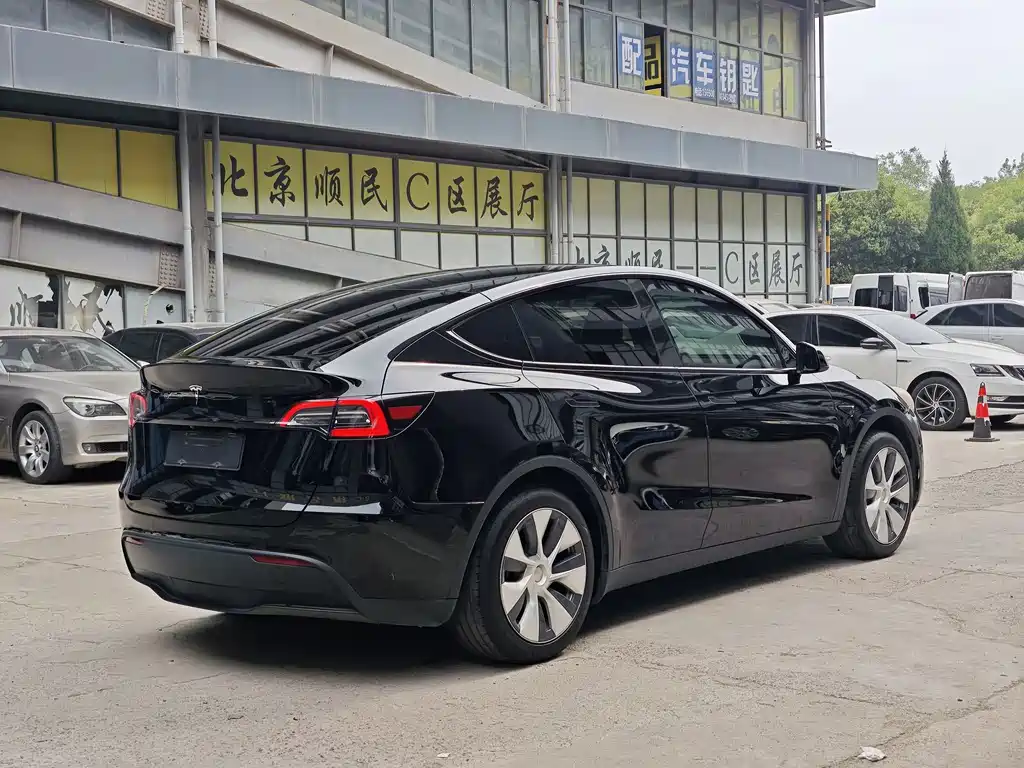 Tesla Model Y — миниатюра 4