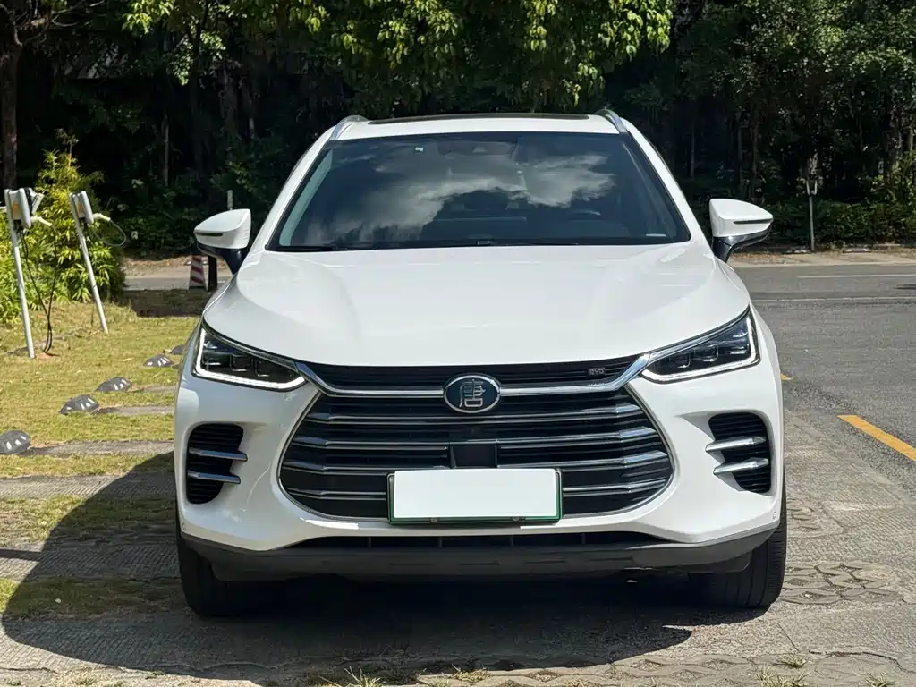BYD Tang New Energy — миниатюра 2