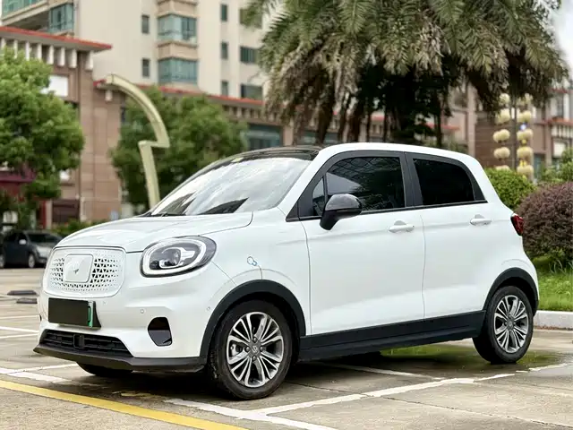 2020 Leapmotor T03
