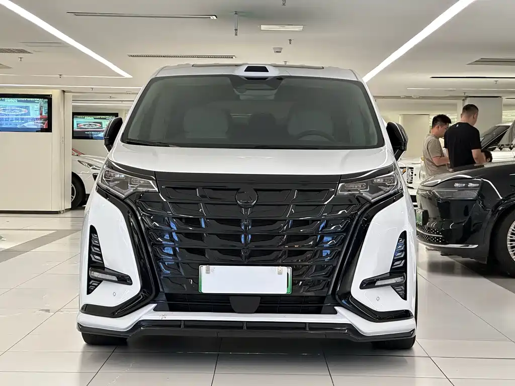 Denza Denza D9 — миниатюра 2