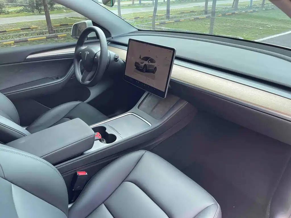 Tesla Model Y — миниатюра 12