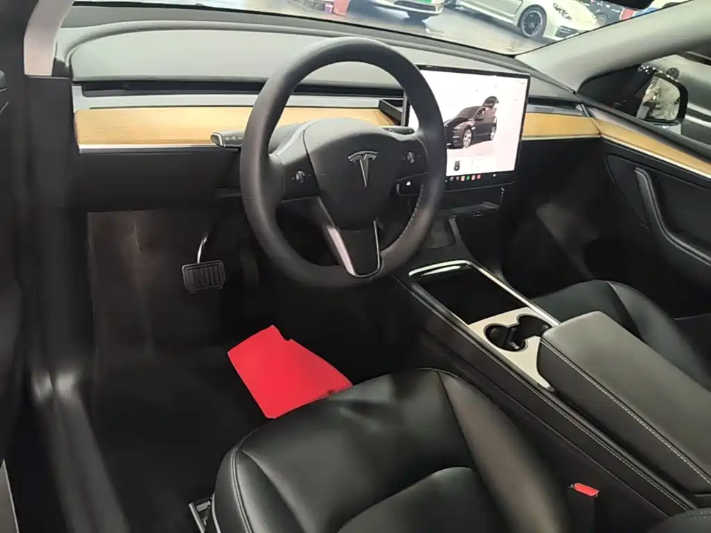 Tesla Model Y — миниатюра 10