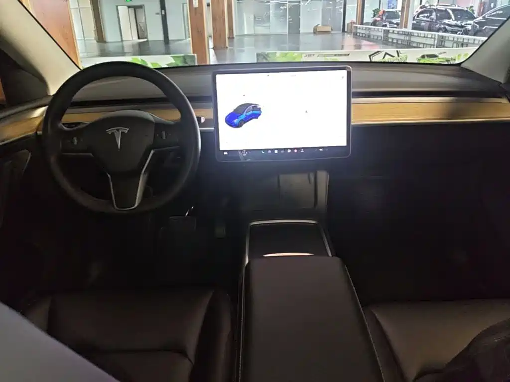 Tesla Model Y — миниатюра 10