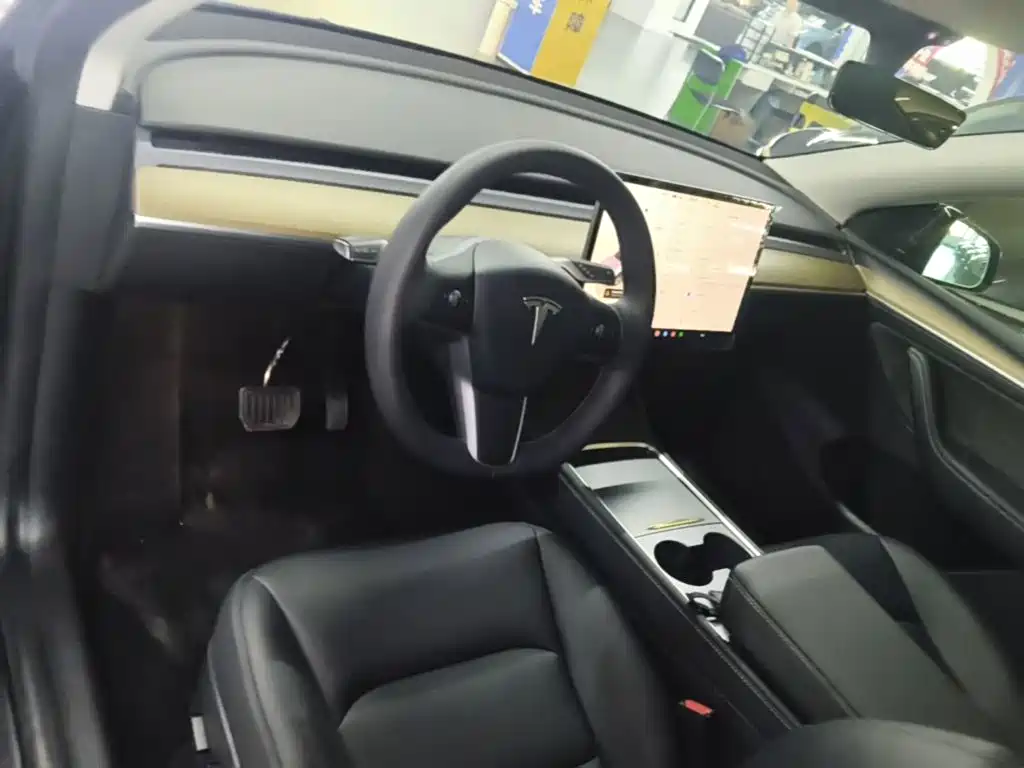Tesla Model Y — миниатюра 10