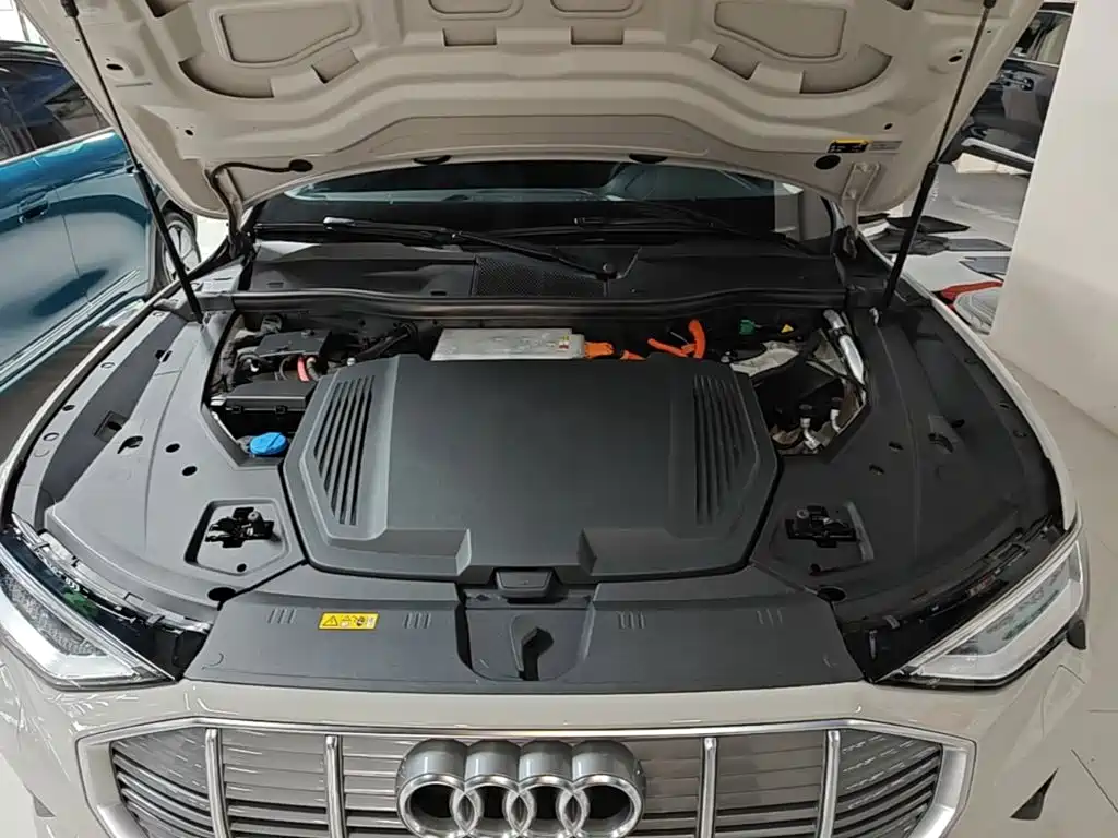Audi e-tron (Import) — миниатюра 20
