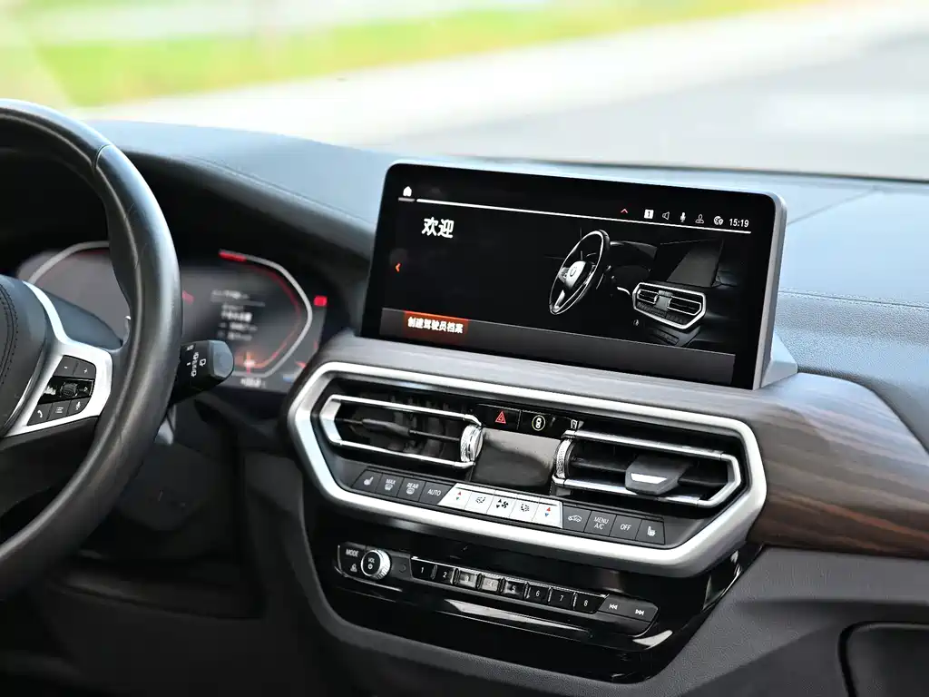 BMW X3 — миниатюра 8