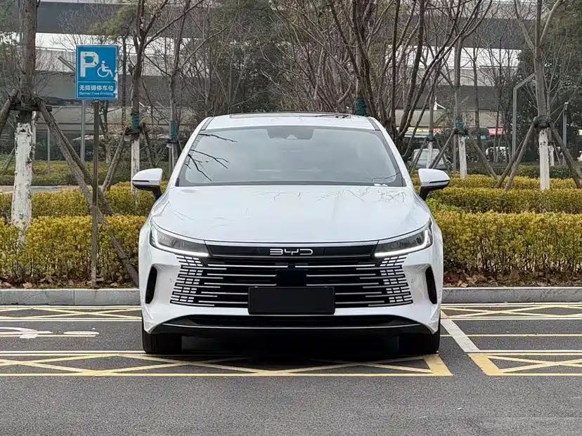 BYD Destroyer 05 2023 Champion DM-i 55KM Luxury