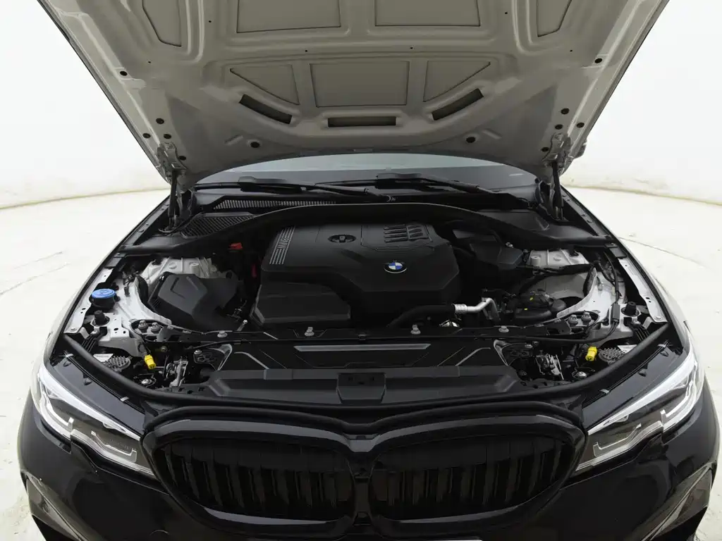 BMW 3 Series 3 2022 320Li M Sport