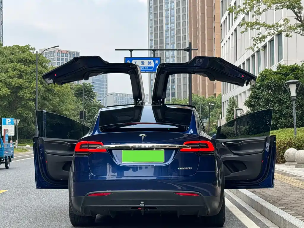 Tesla Model X — миниатюра 17