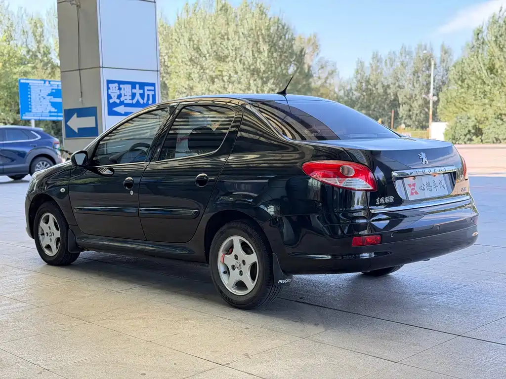 Peugeot 207 — миниатюра 6