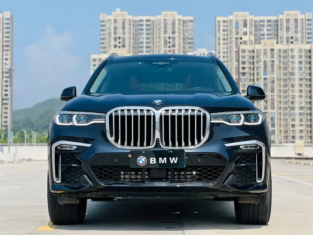 BMW X7 — миниатюра 2