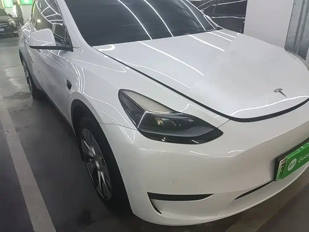 Tesla Model Y — миниатюра 4