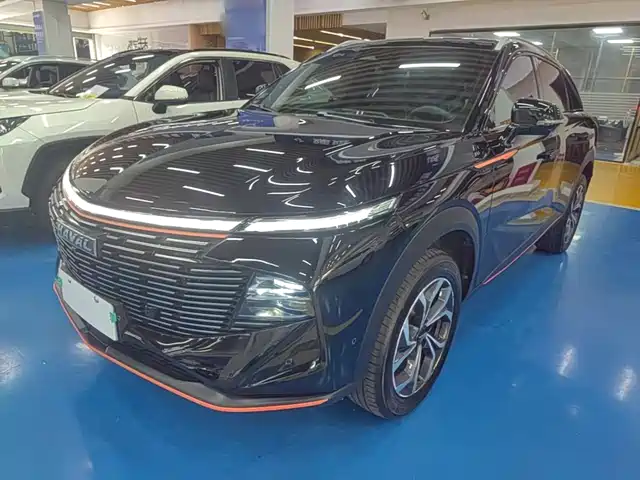 2022 Haval Shenshou