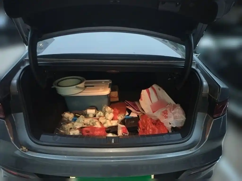 BYD Qin PLUS — миниатюра 10
