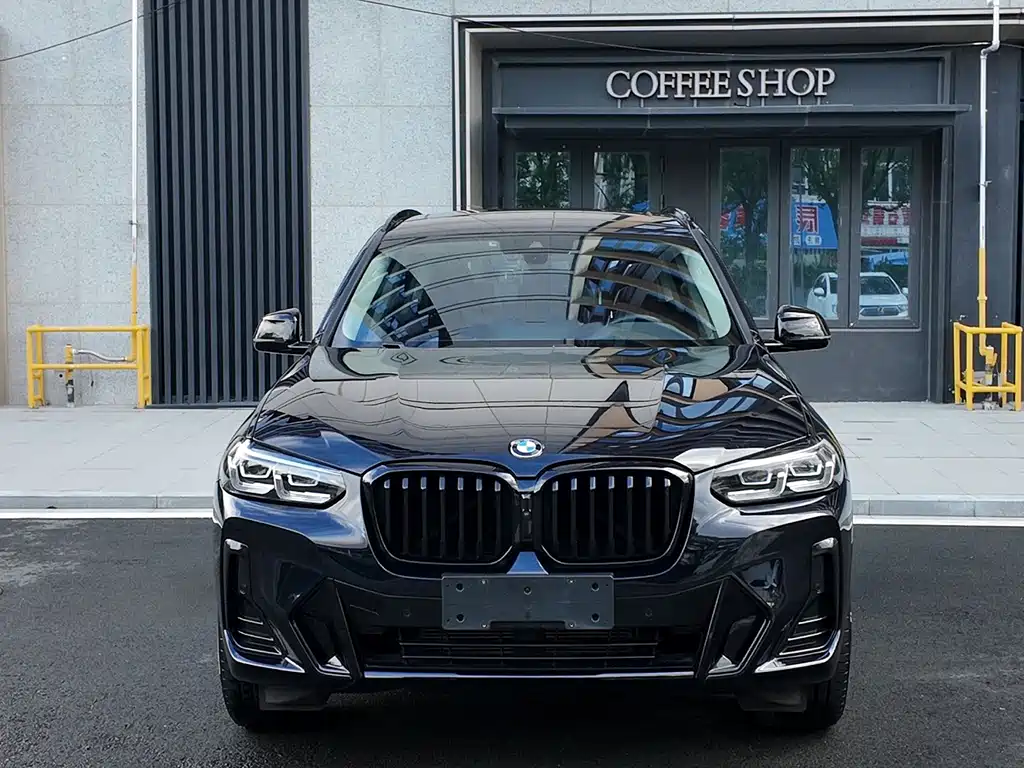 BMW X3 — миниатюра 2