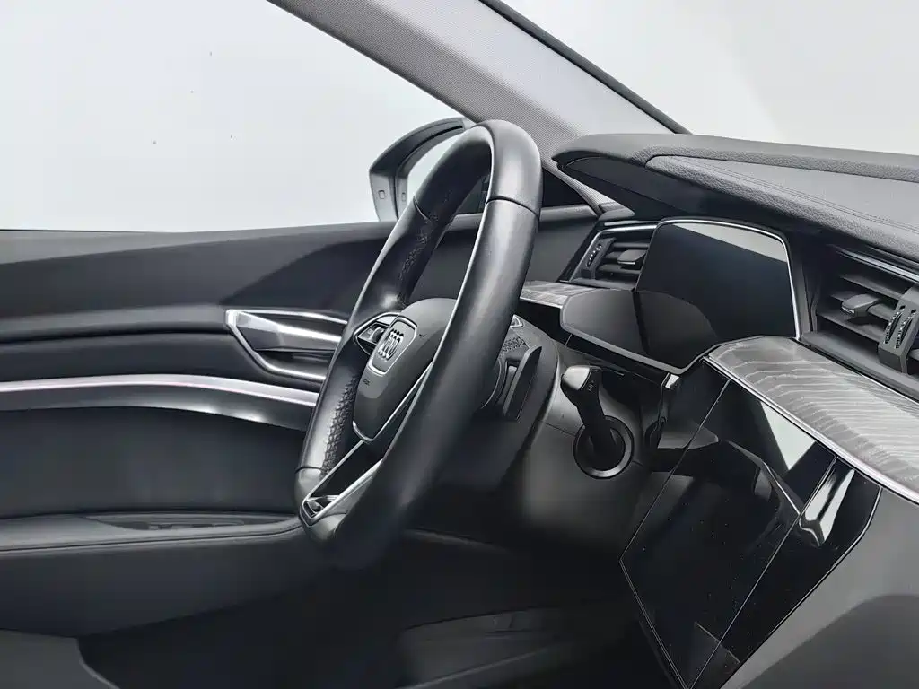 Audi e-tron (Import) — миниатюра 22