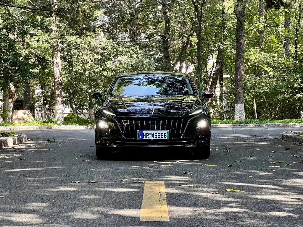 Hongqi Hongqi E-QM5 — миниатюра 9