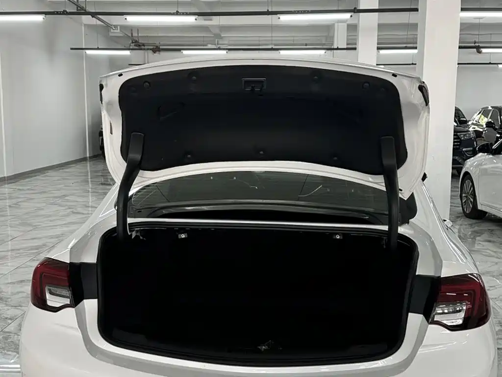 Buick Regal — миниатюра 16