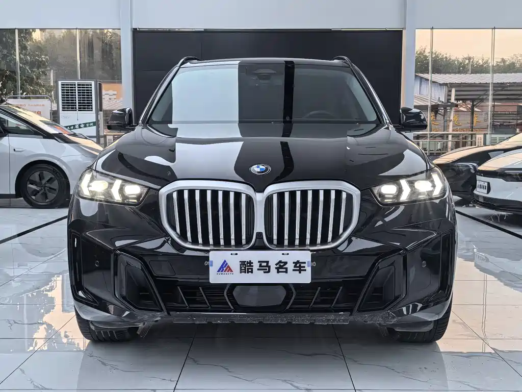 BMW X5 — миниатюра 2