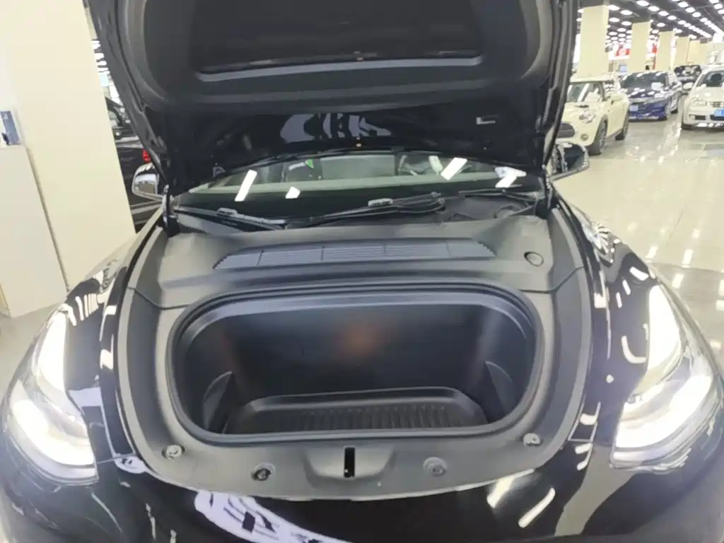 Tesla Model Y — миниатюра 20