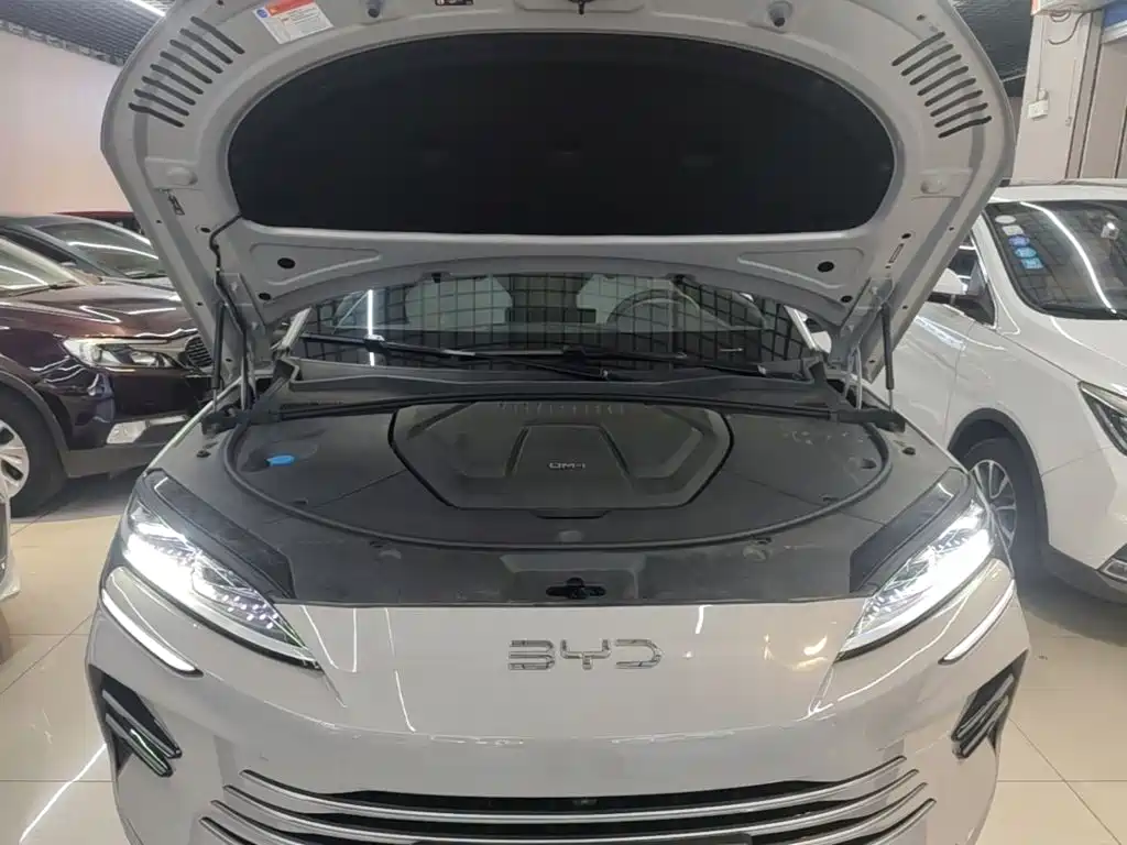 BYD PLUS New Energy — миниатюра 20
