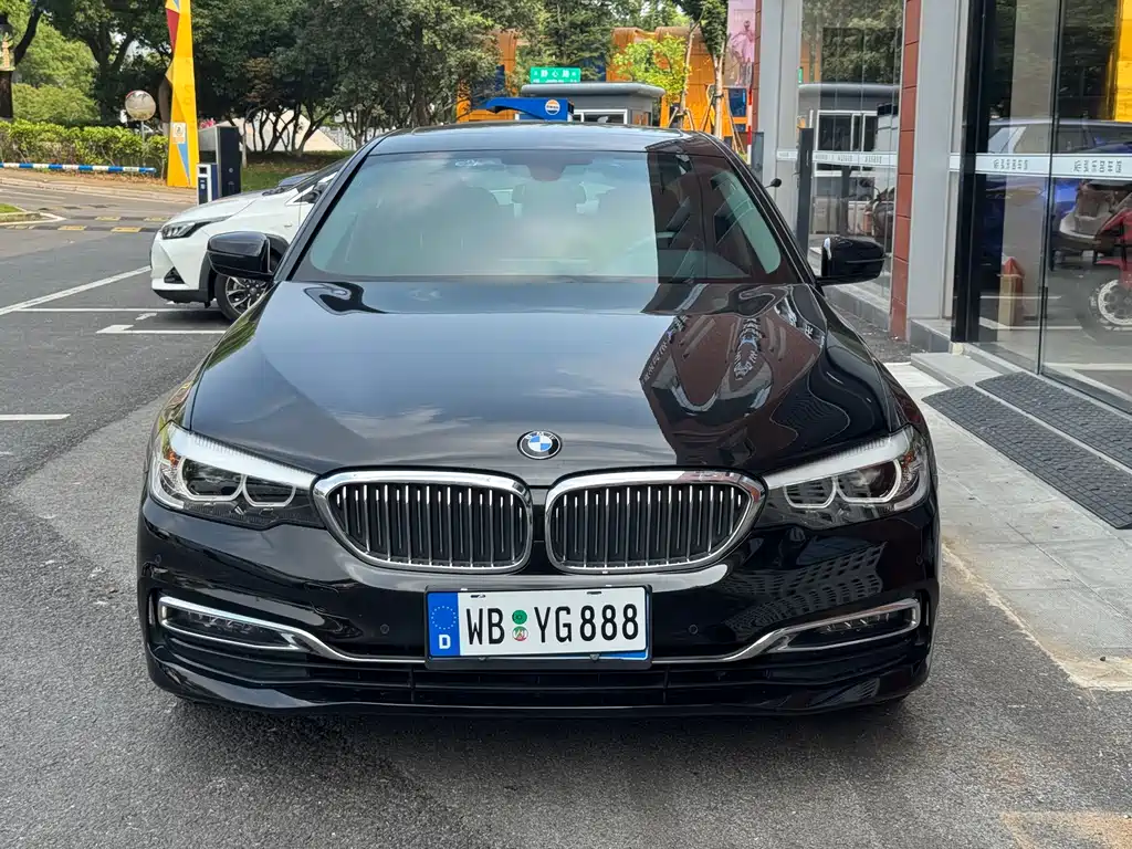 BMW 5 Series 5 2019 530Li Lead Luxury