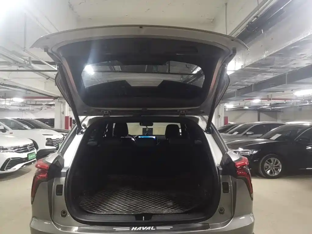 Haval Shenshou — миниатюра 21