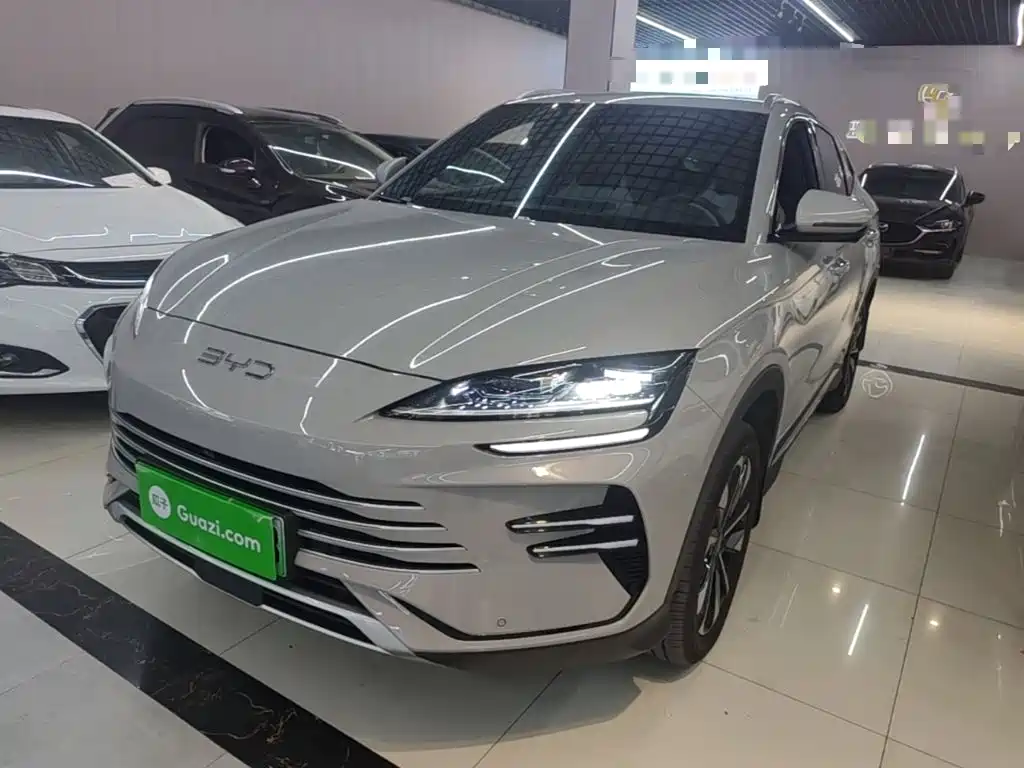 BYD PLUS New Energy — миниатюра 2